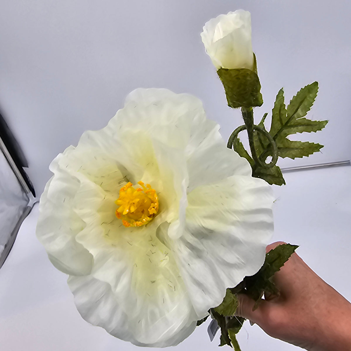 28&quot;POPPY--gtp103