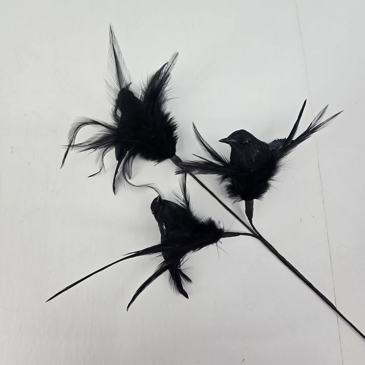 18&quot; Crow/Feather Spray x3--#afs502
