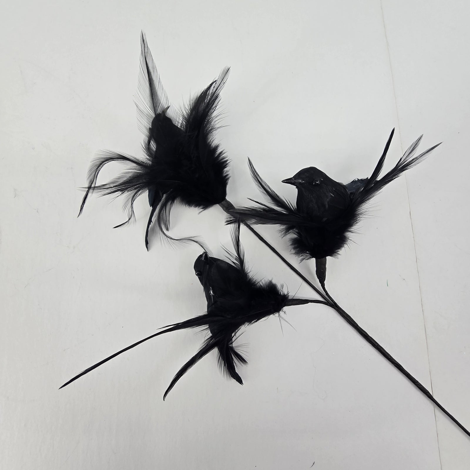 18" Crow/Feather Spray x3--#afs502