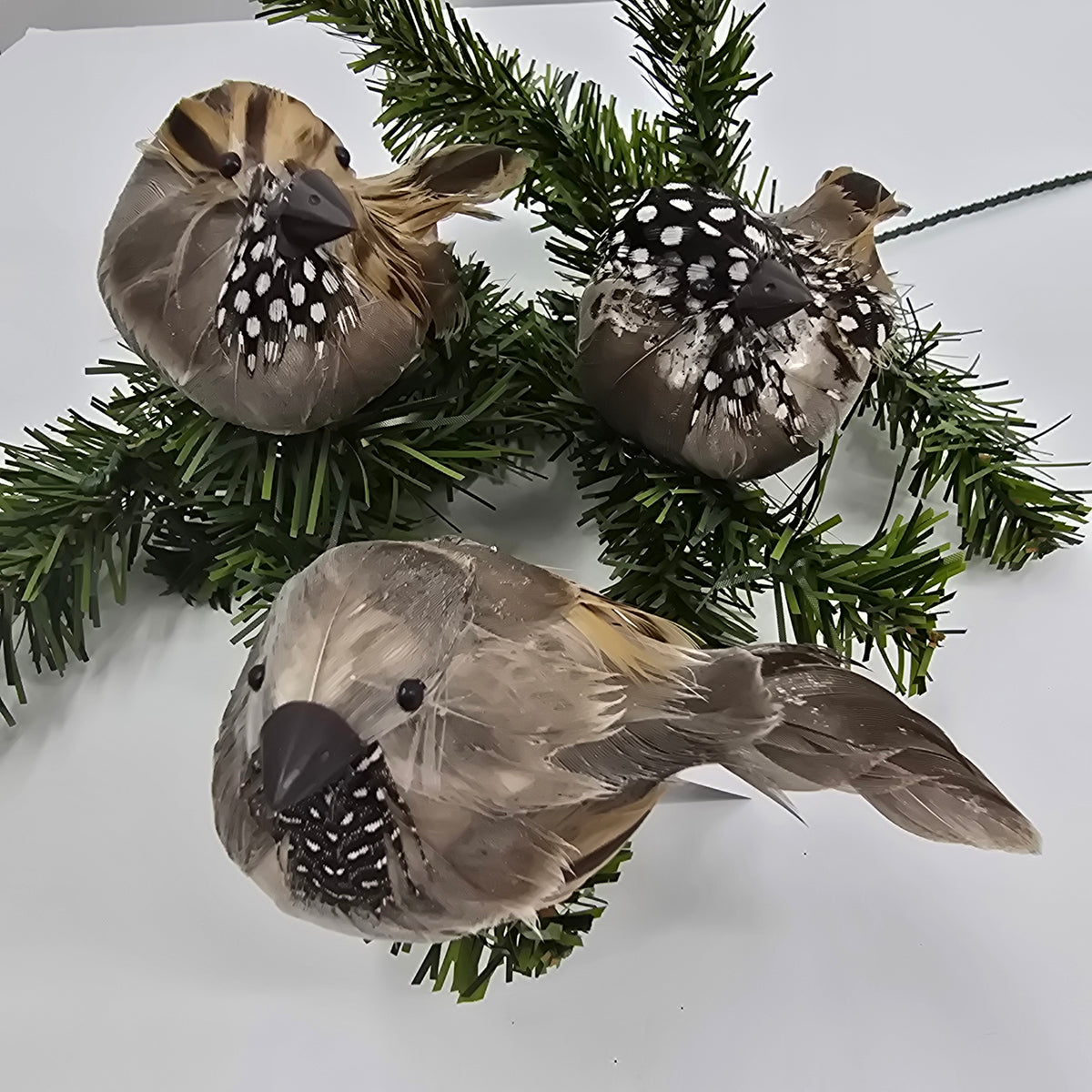 3.9&quot; Bird/clip-#bbc840