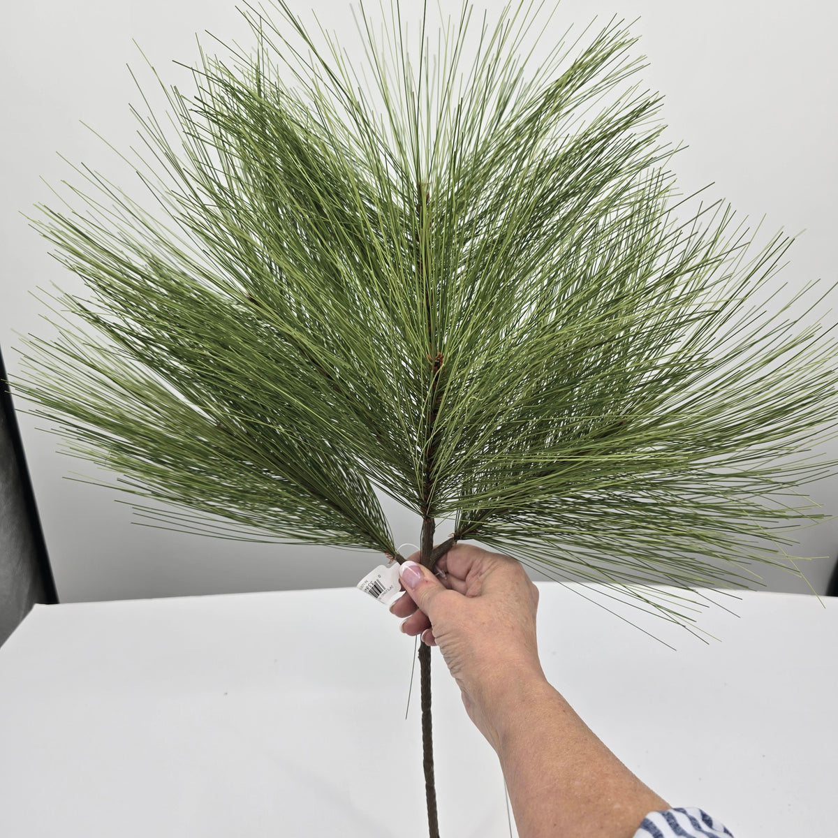 24&quot; Long Needle Pine Spray--#ysp052