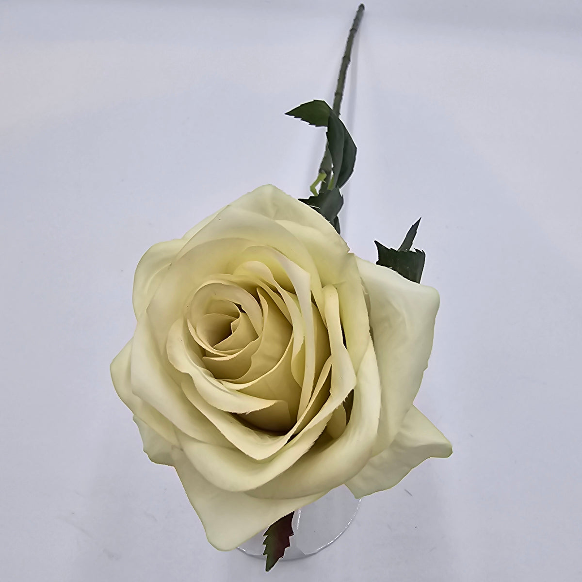 21.5&quot;ROSE--fsr729