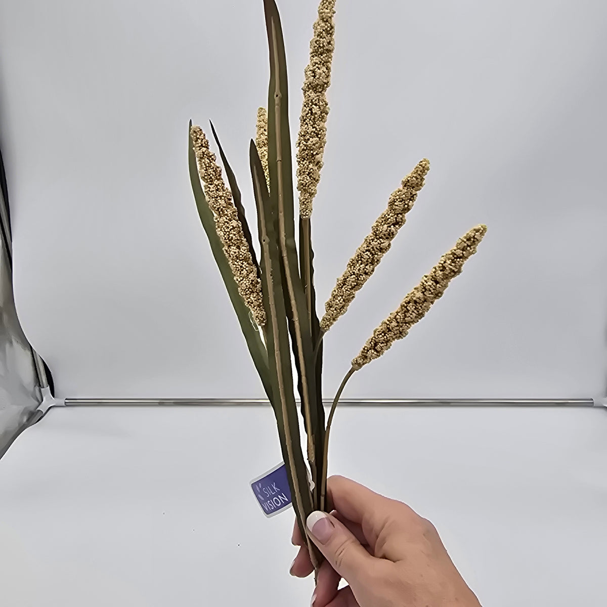 25&quot; Millet Spray--#psm122
