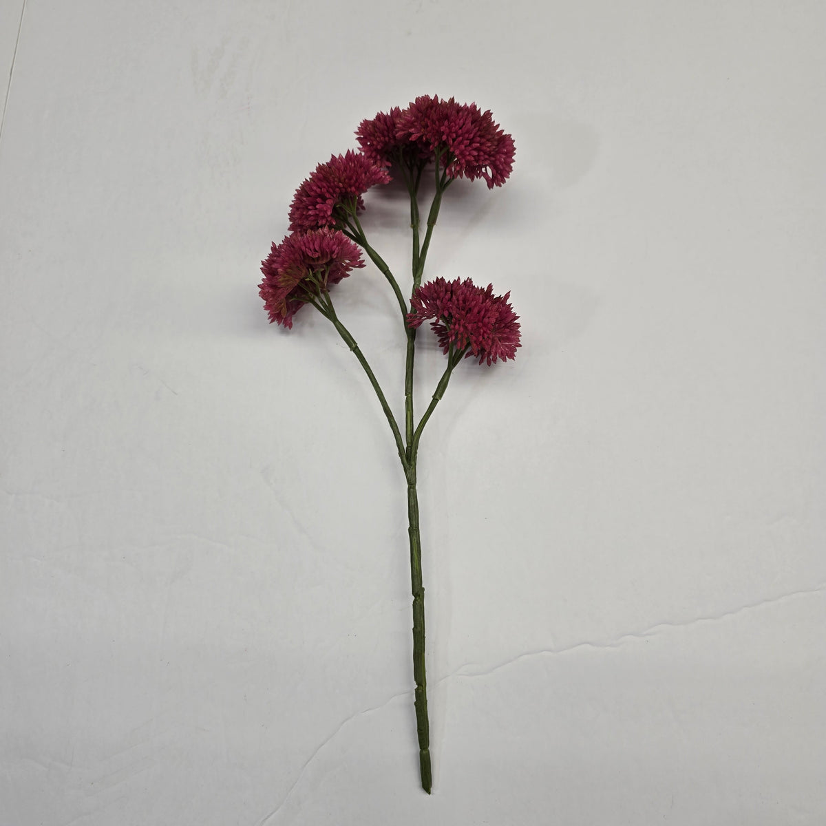 12" Sedum fss786
