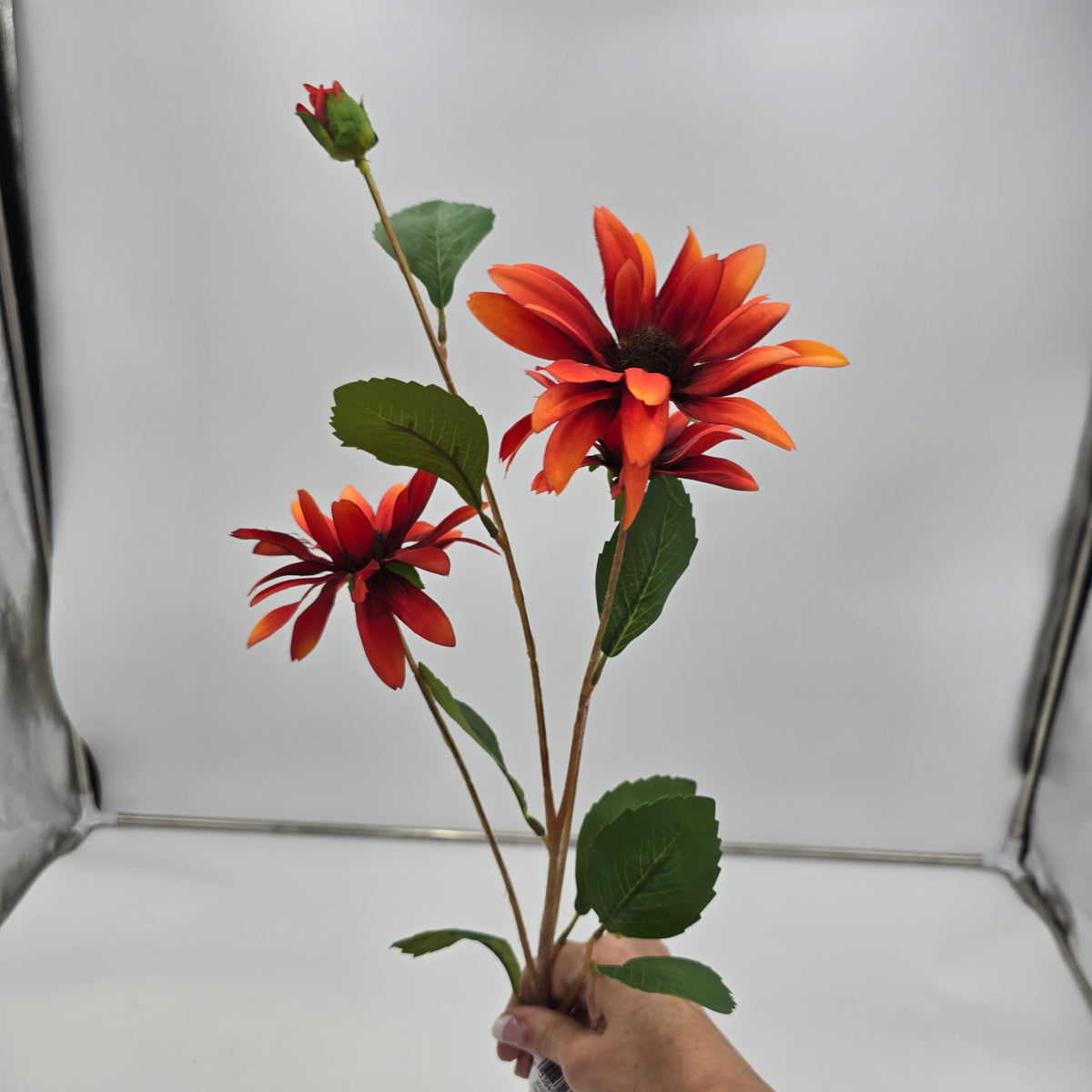 32&quot; Daisy Spray--#fsd420