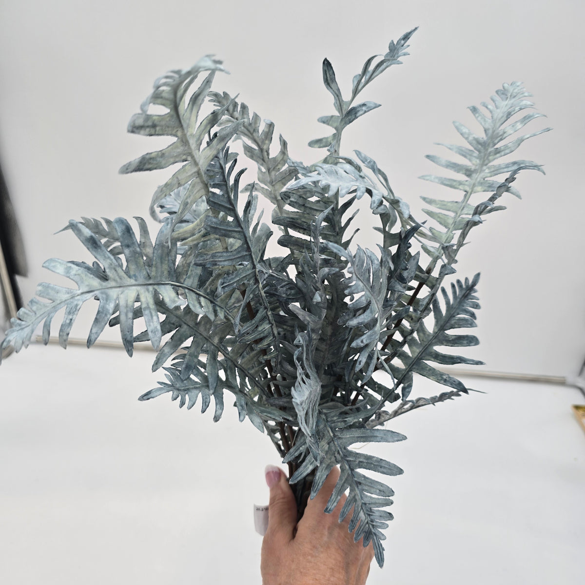 20.5&quot;FERN Bunch--#xab544