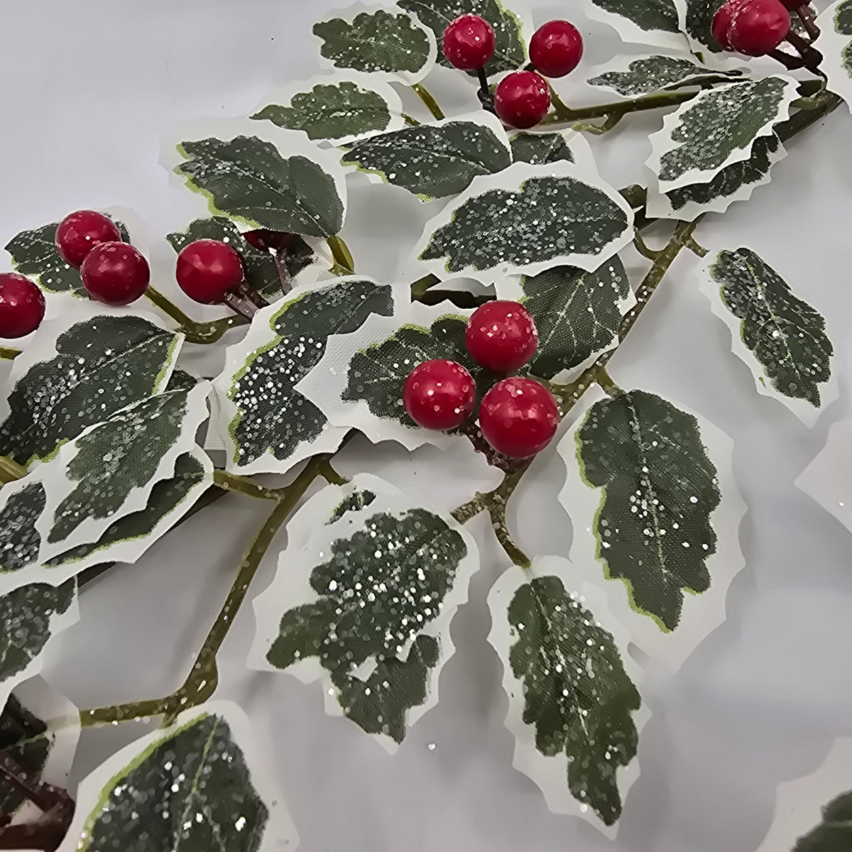 28.5 Fosteri Holly-#270489