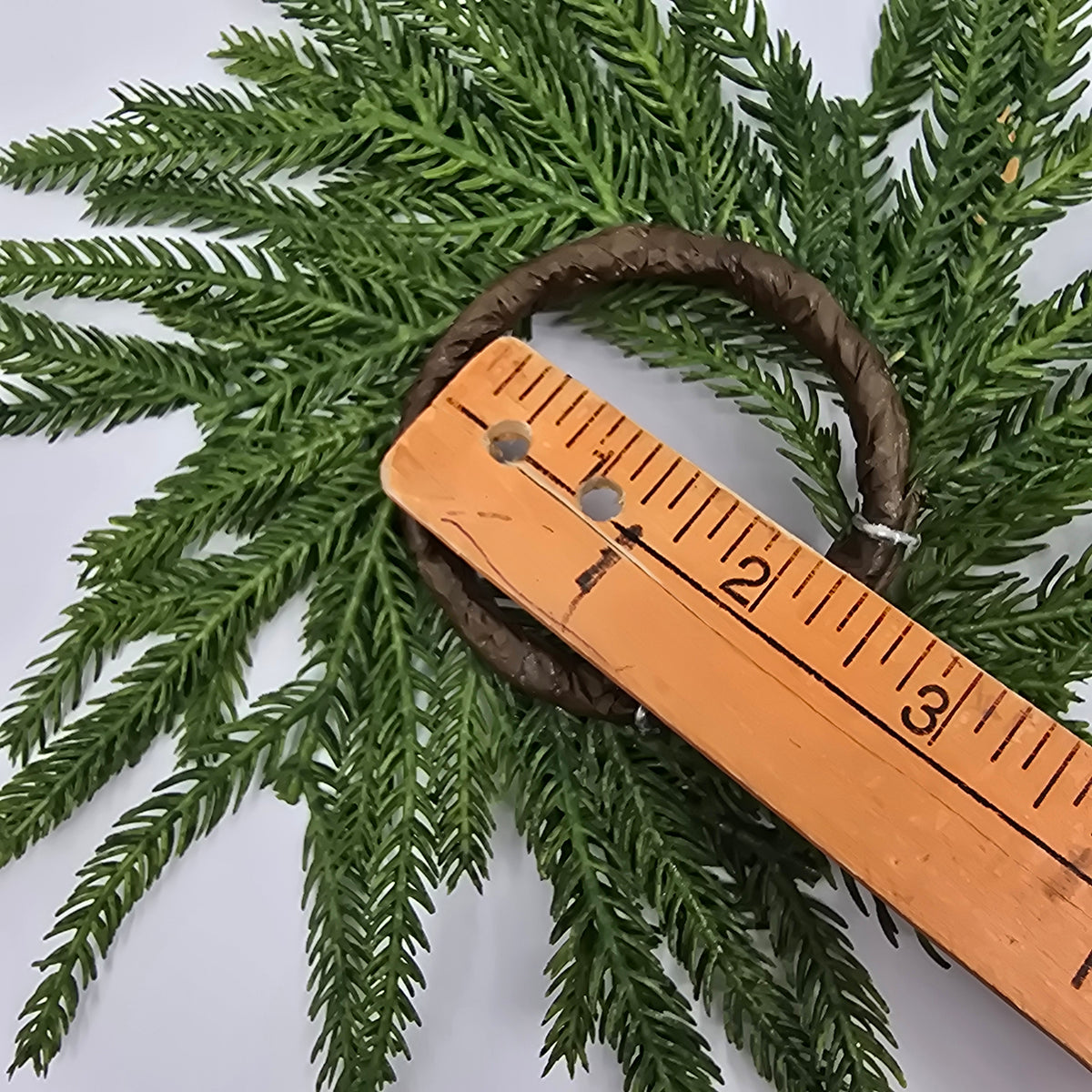 10&quot; Norfolk Pine Candlering/ Mini Wreath--#xdw317