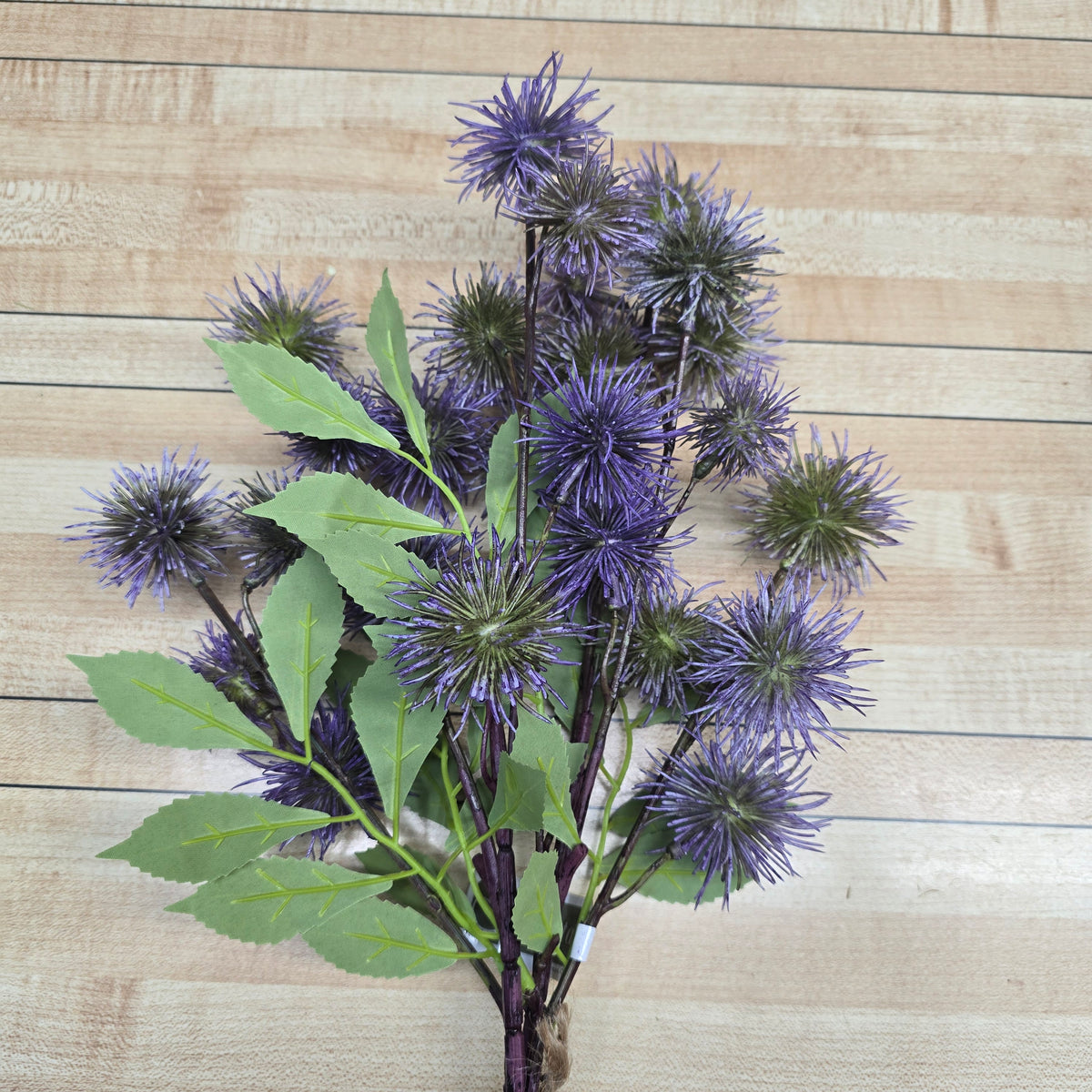 18" Globe Thistle Bundle #fbt556