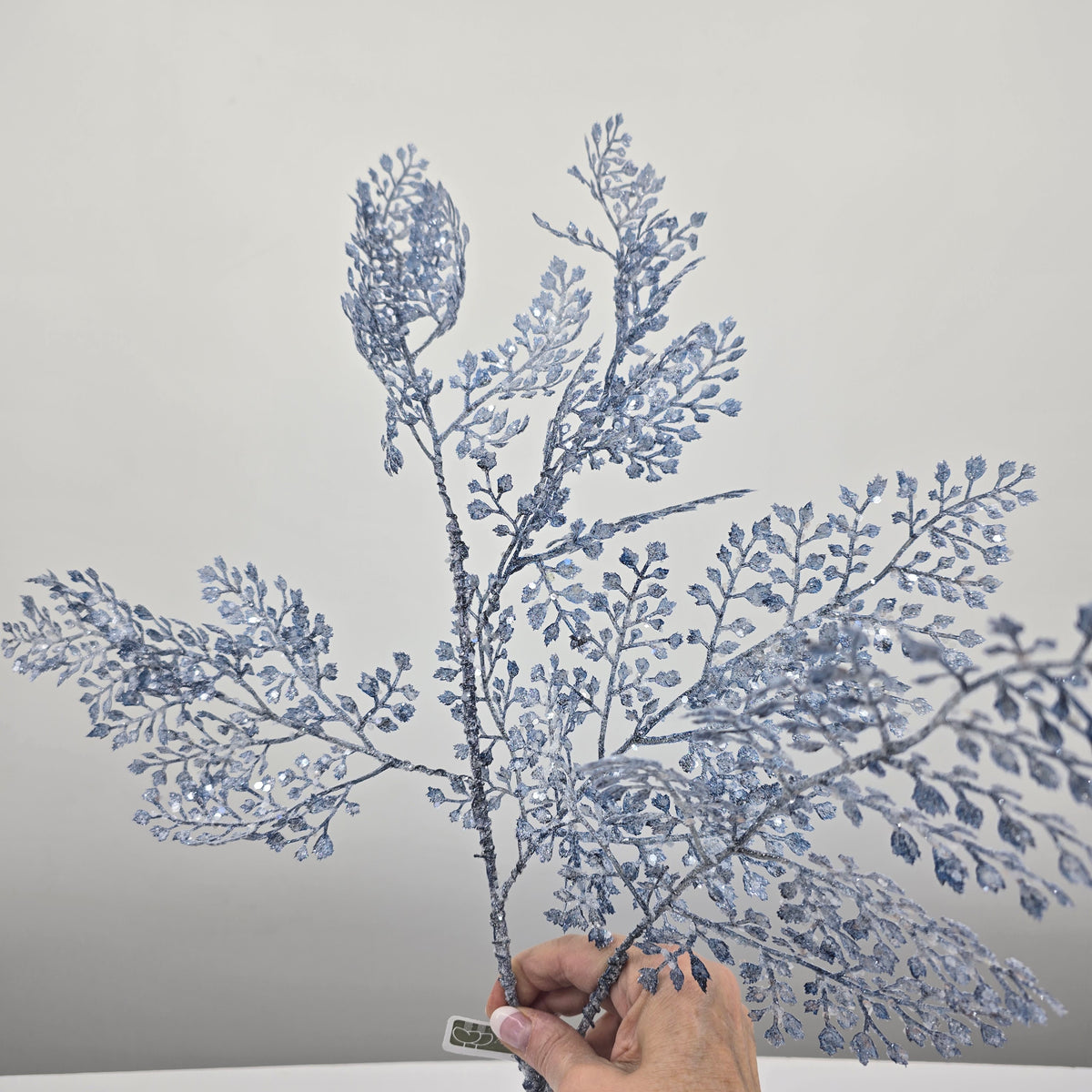 31&quot; Frosty Maidenhair Fern--#xas000