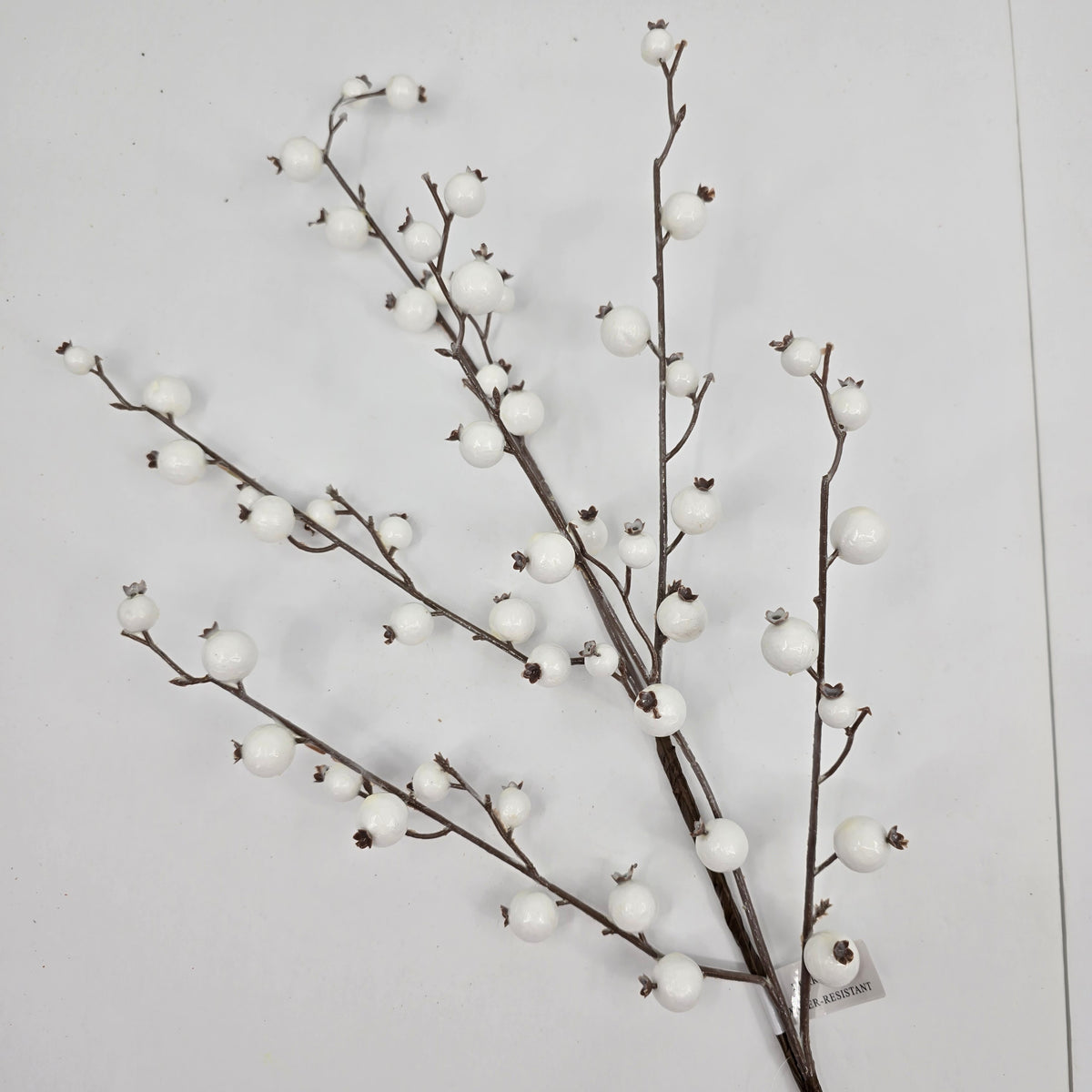 30&quot; WR Mini Pomegranate Spry--white #285126