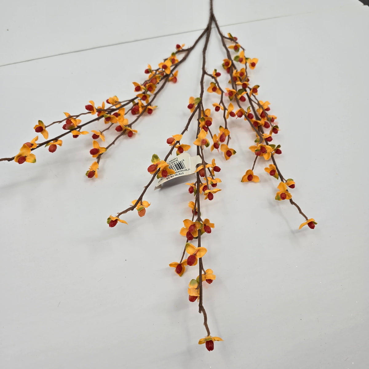 32&quot; Bittersweet--#gtb780