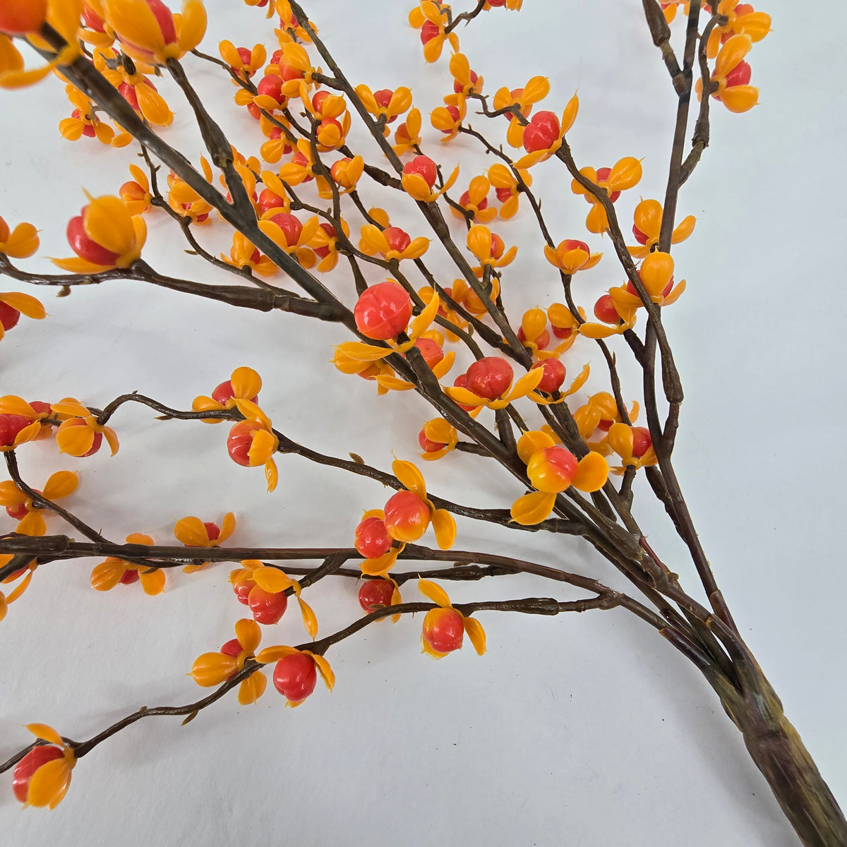 17&quot; Bittersweet Bush--#fbb359