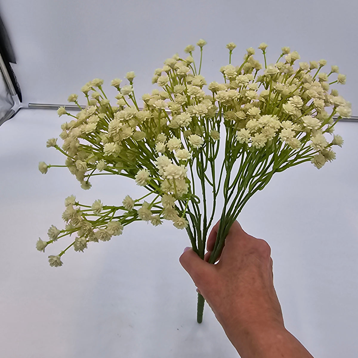 Baby&#39;s Breath Bush--#fbg483
