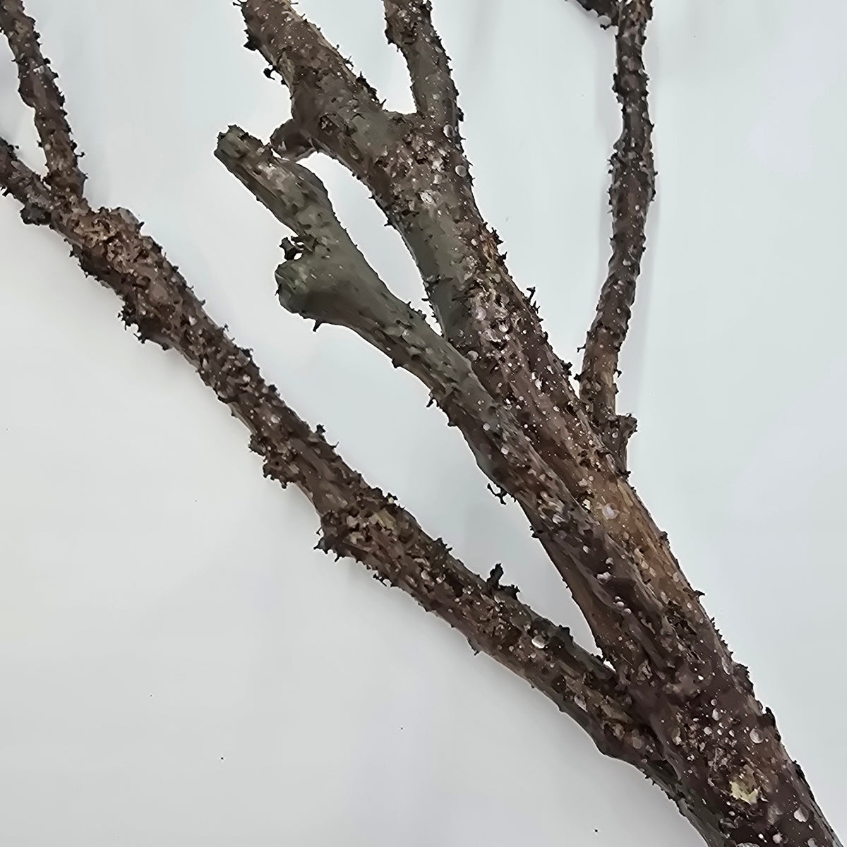 28&quot; Twiggy Branch Spray--#pst656