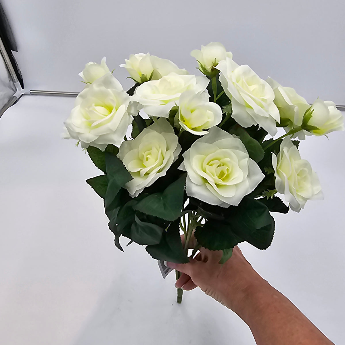 15&quot;ROSE BUSH--fbr103