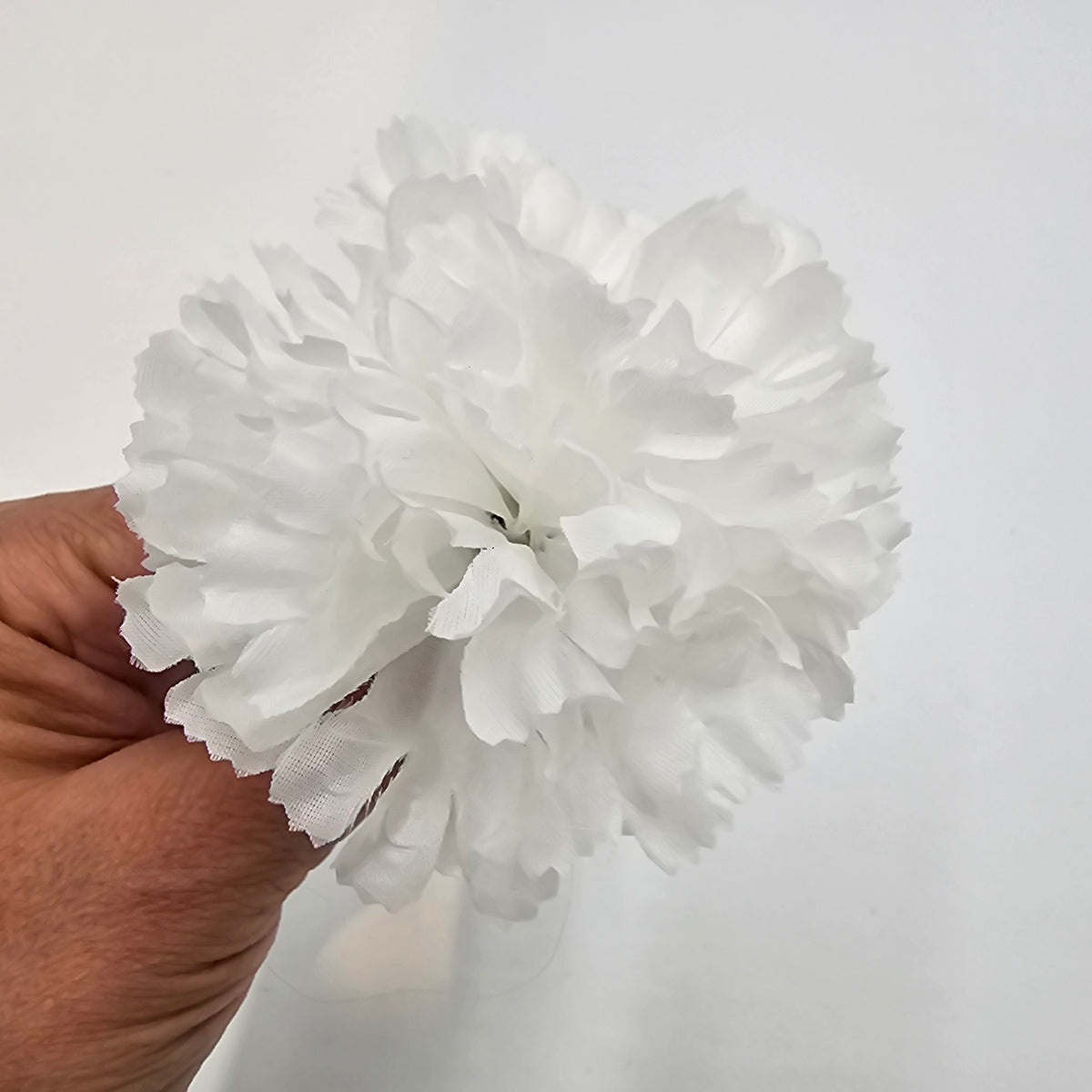 Carnation--#kart7314