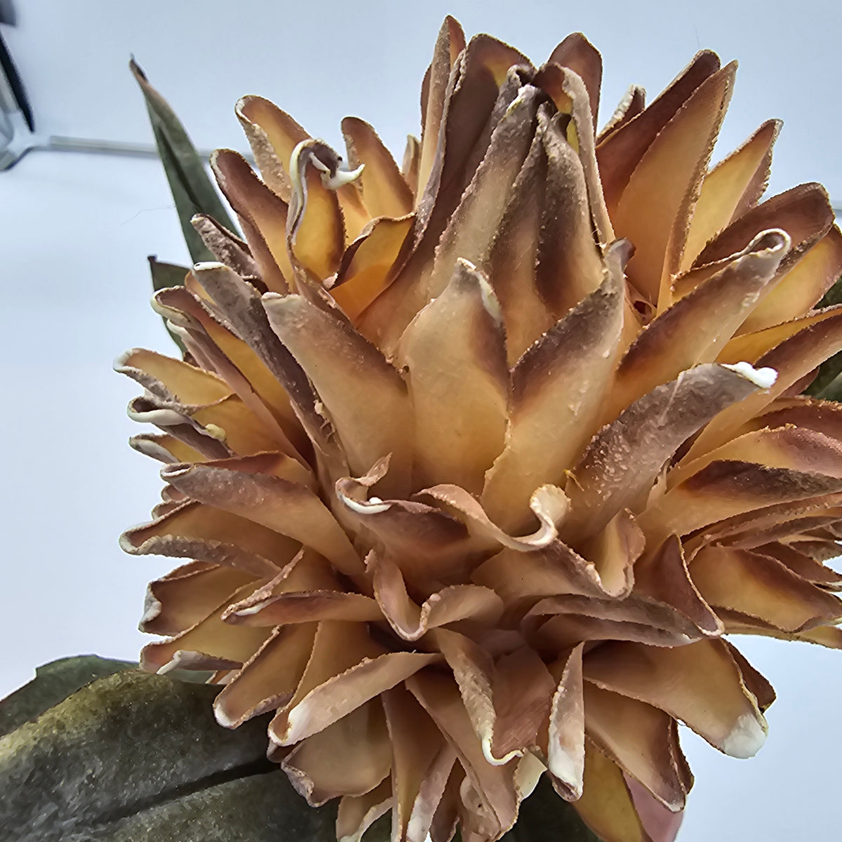 17&quot; Hot Poker--#fsp107