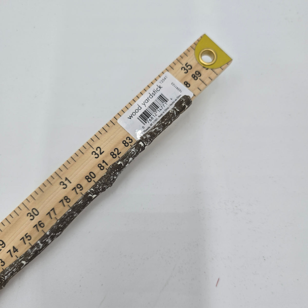 Eucalyptus Pod-34&quot; #fsp001