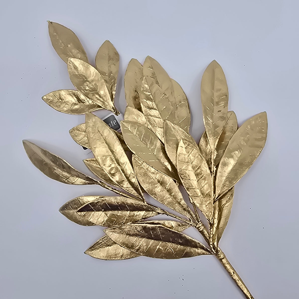 19&quot;BAY LEAF SPRY-#xdz385