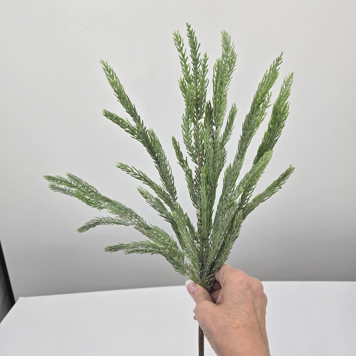 23&quot; Spruce Spray-#ybs230