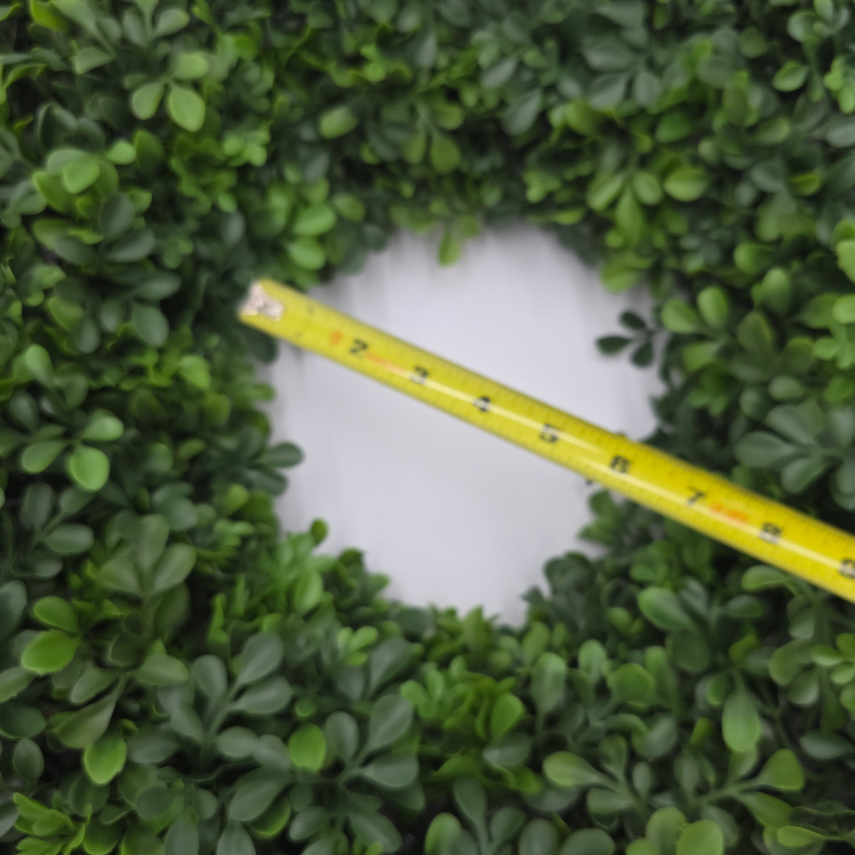 22&#39; Bxwood Wrth-#pwb224