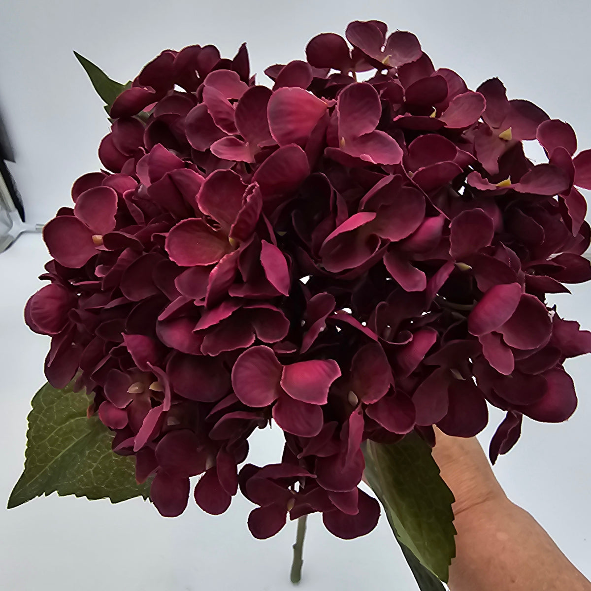 Hydrangea-20.5&quot; #fsh614
