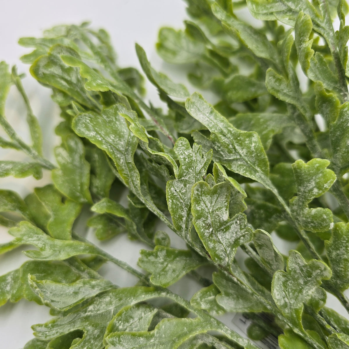 17&quot;MILLER FERN--pbf166-gr