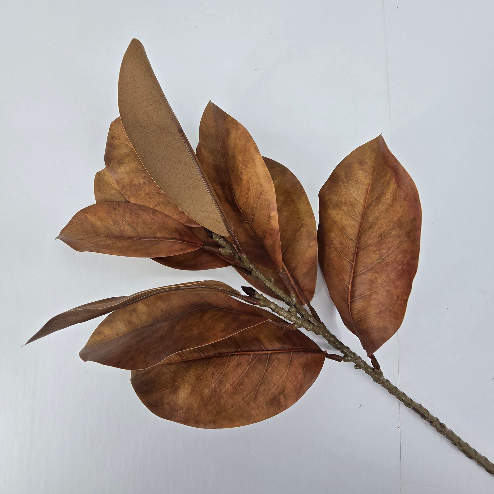 21.5" Magnolia Leaf Spray--#psm603