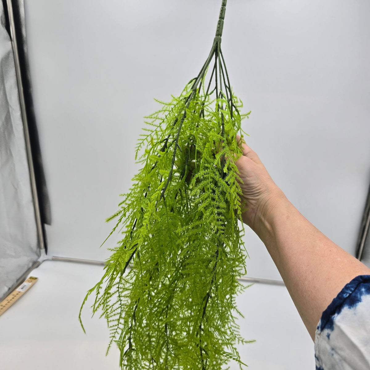 33&quot; Asparagus Fern--#pbf156