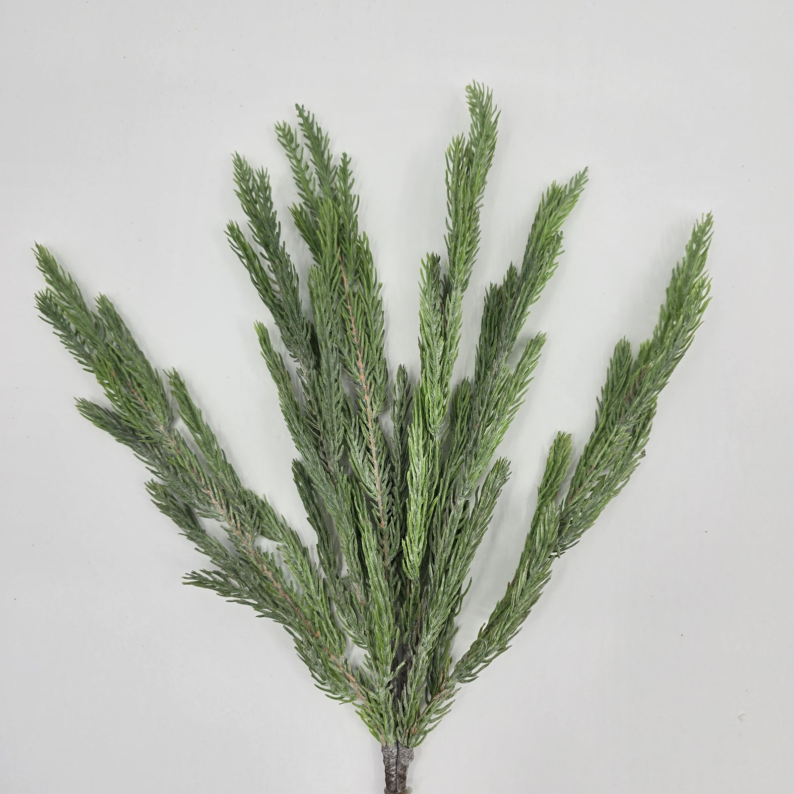 23" Spruce Spray-#ybs230