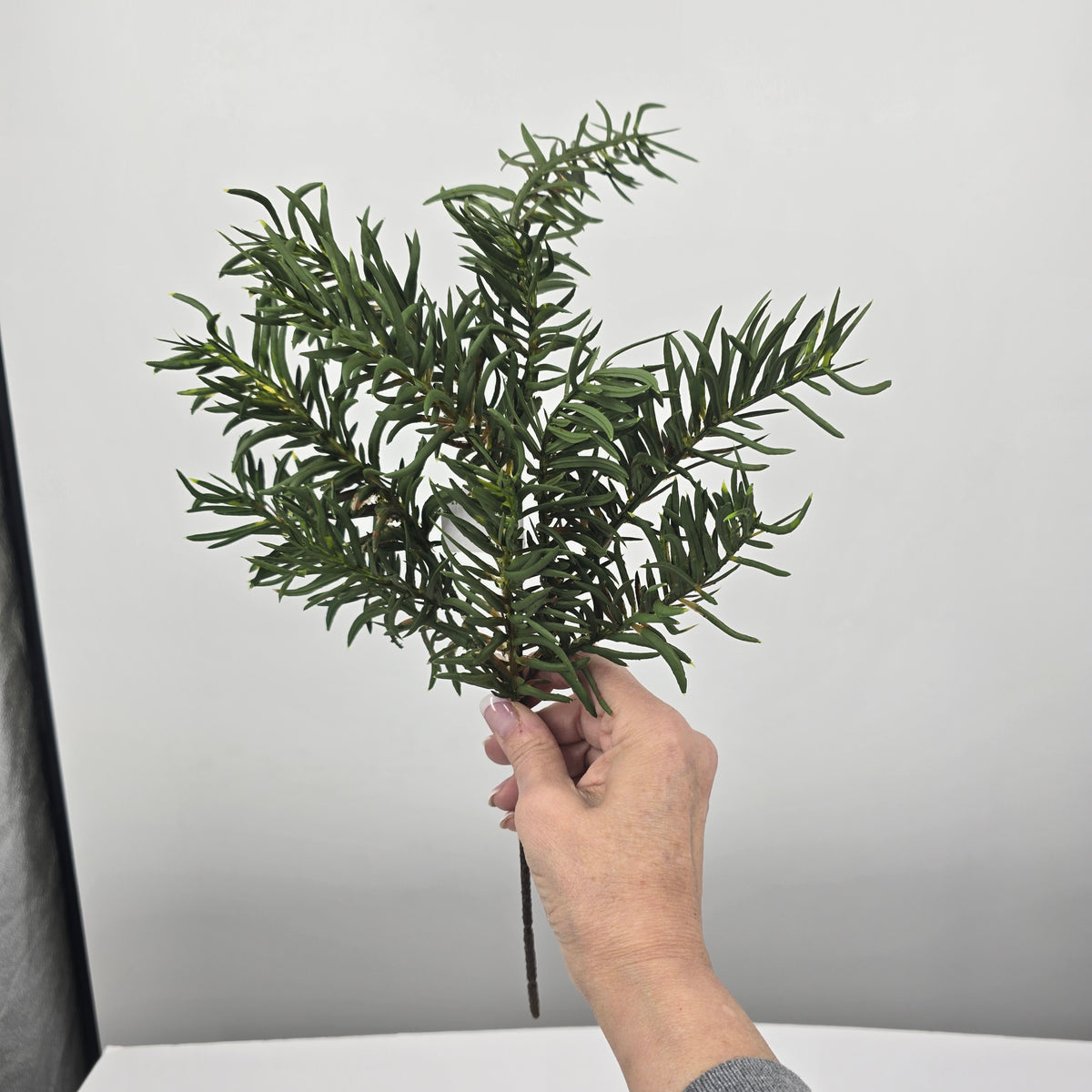 17&quot; WILD JUNIPER-#ysa202
