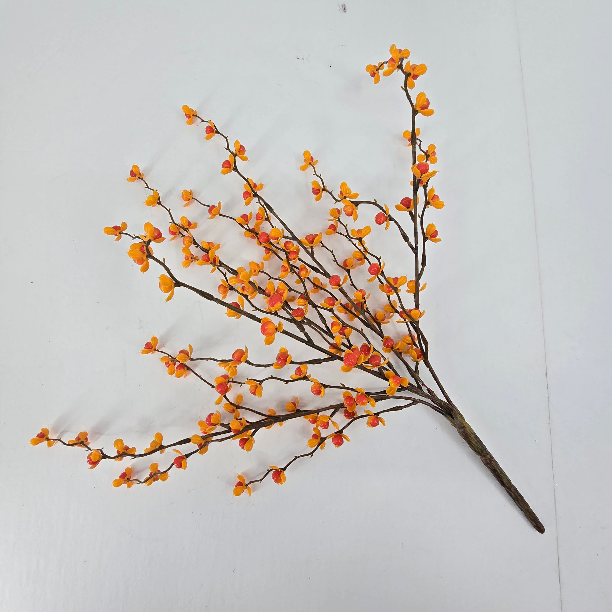 17" Bittersweet Bush--#fbb359