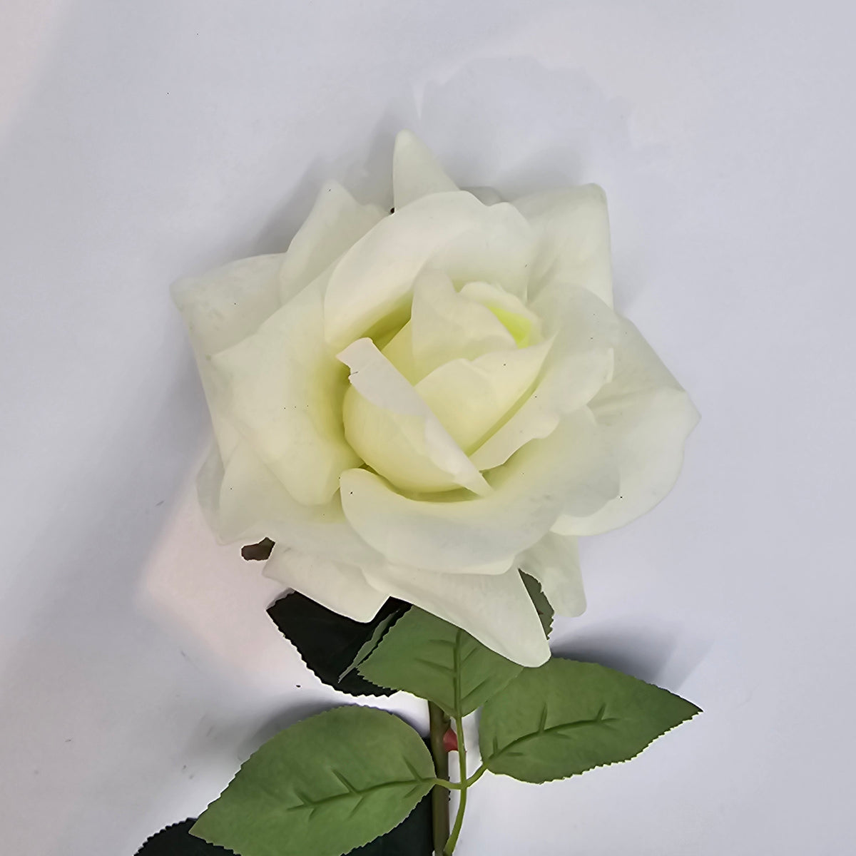 20.5&quot; REAL TCH ROSE--fsr422