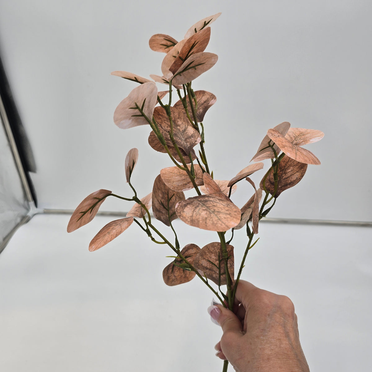 25&quot; Smoketree Lf--#pss821