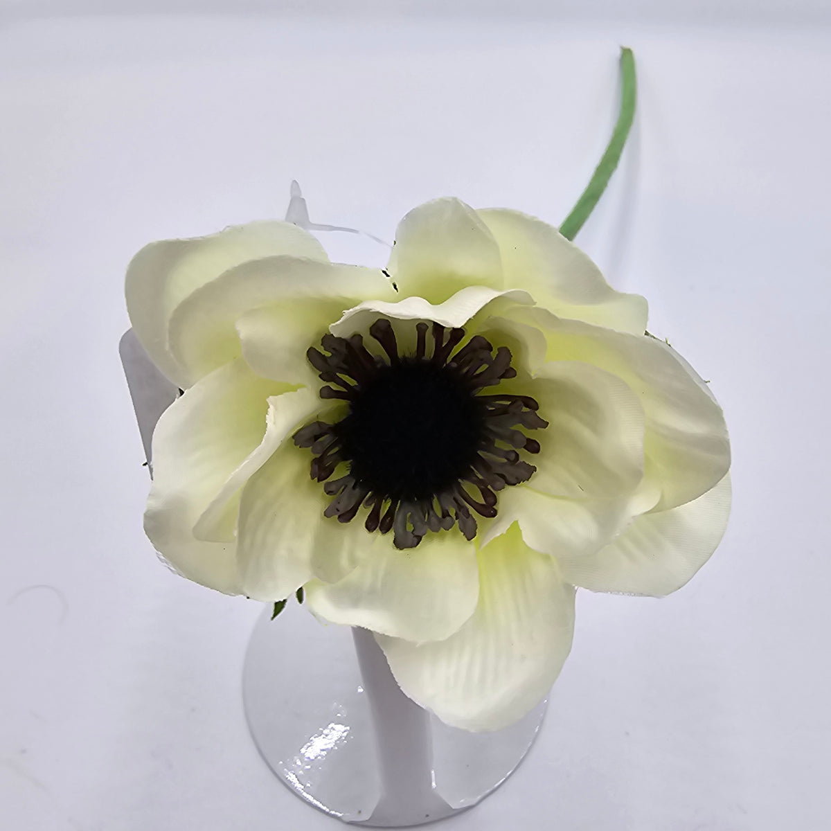 16.5&quot;ANEMONE--fsa048