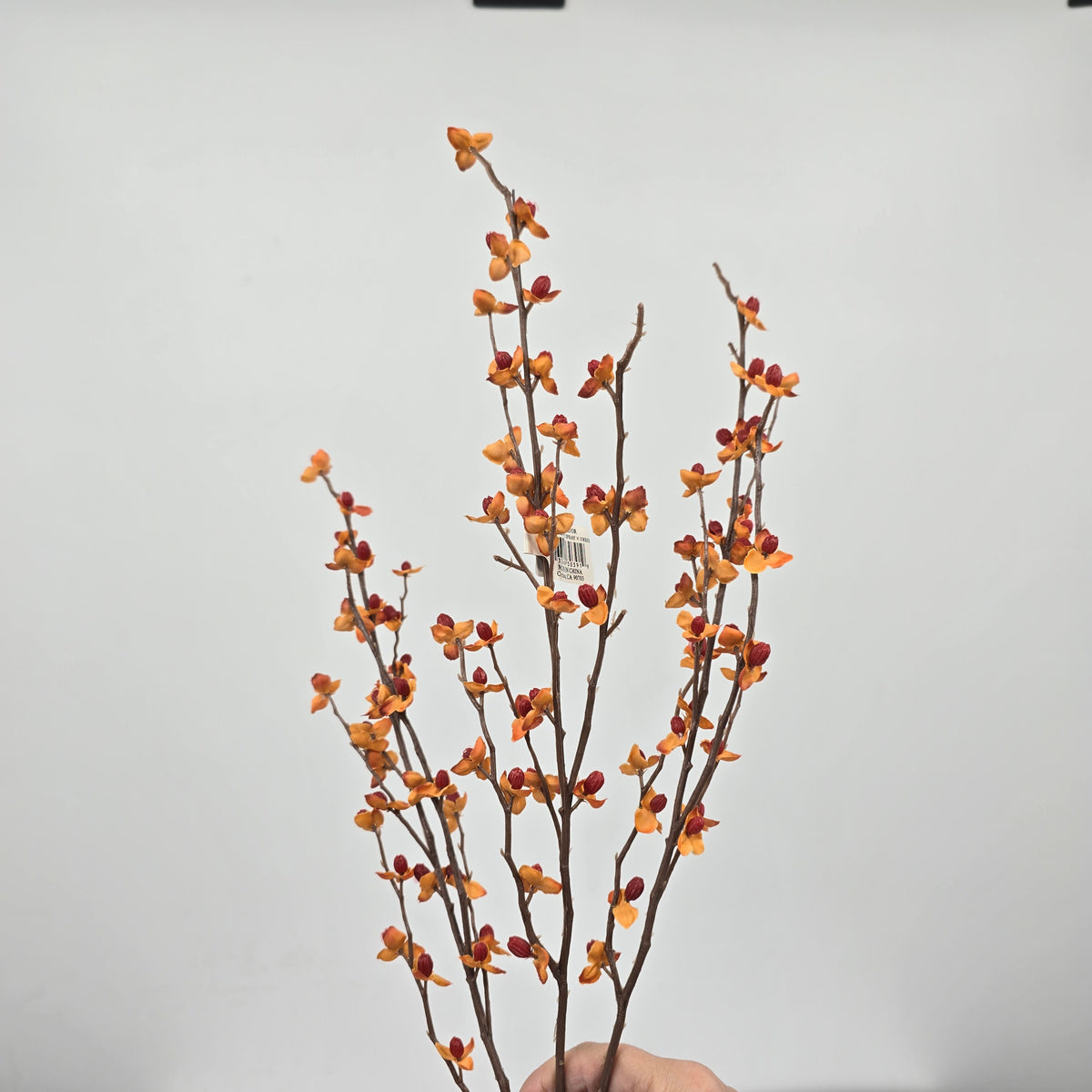 32&quot; Bittersweet--#gtb780