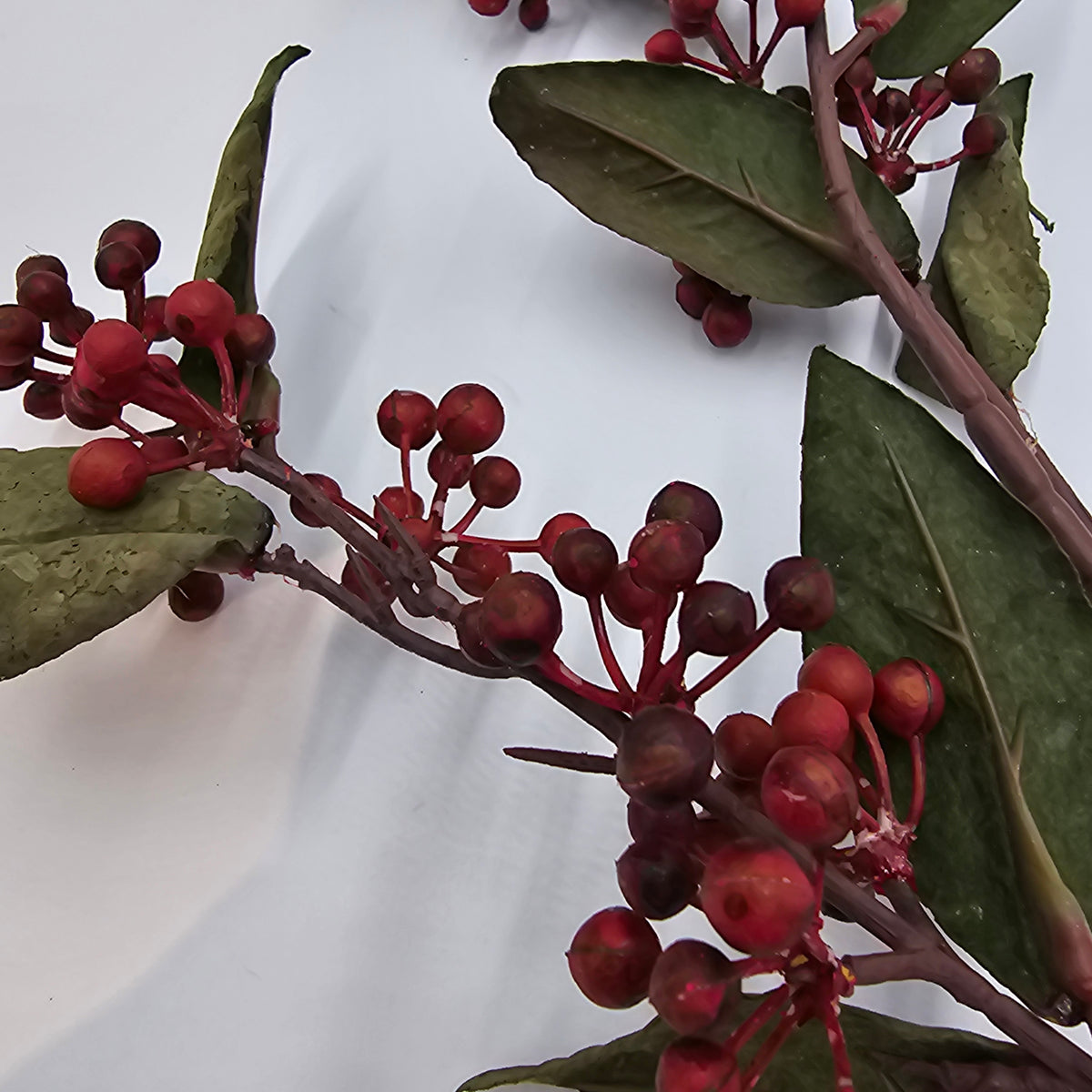 31&quot; Berry -- #fsb583