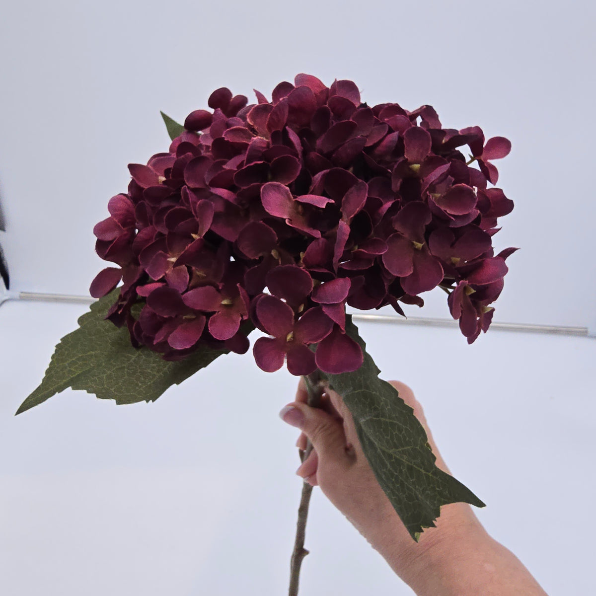 Hydrangea-20.5&quot; #fsh614