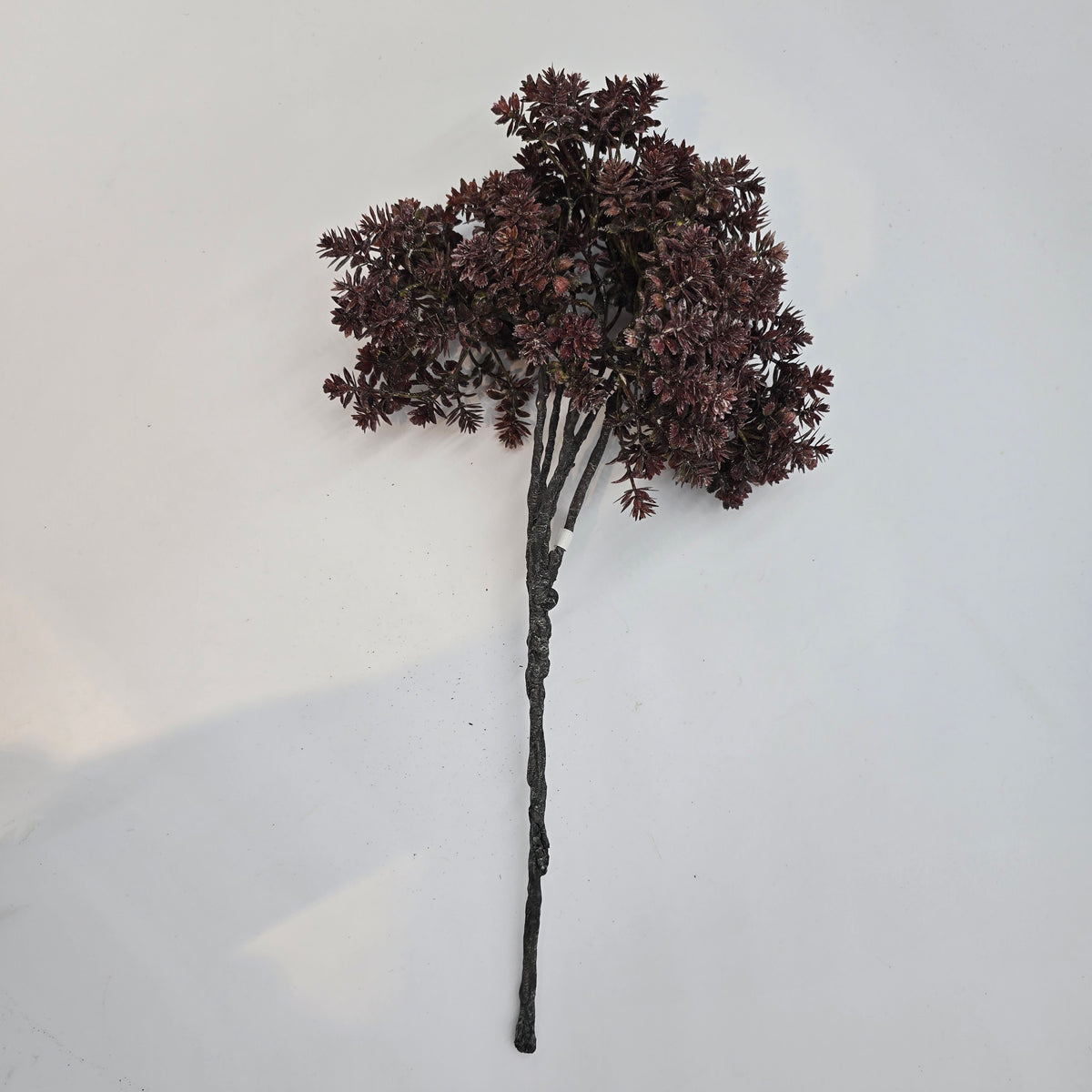 17&quot; mini sedum--brown