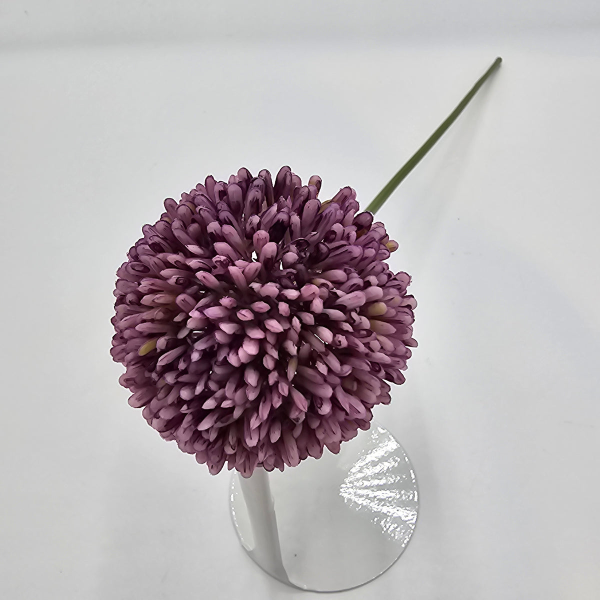 17.5&quot;ALLIUM--fsa141-cr/gr