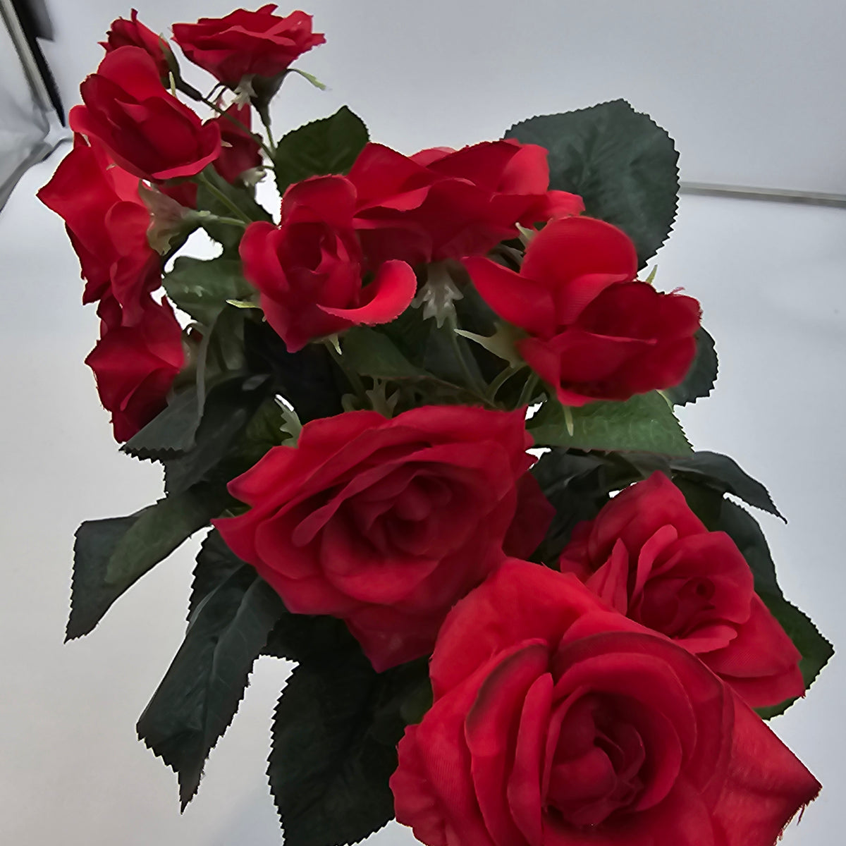 15&quot;ROSE BUSH--fbr103