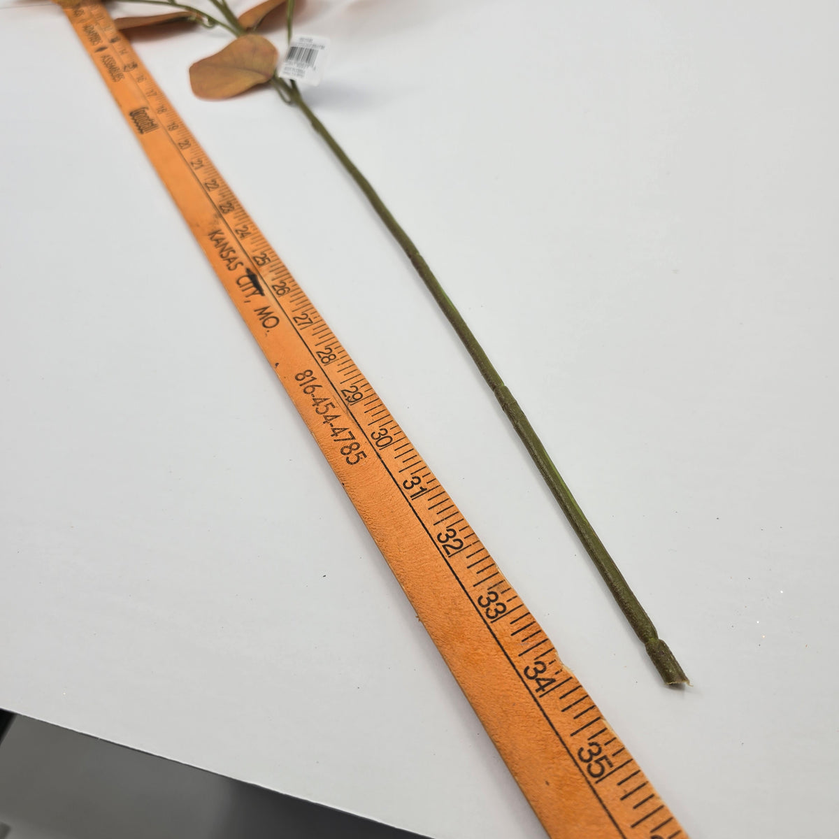 35&quot; Eucalyptus Leaf Spray-#pse125