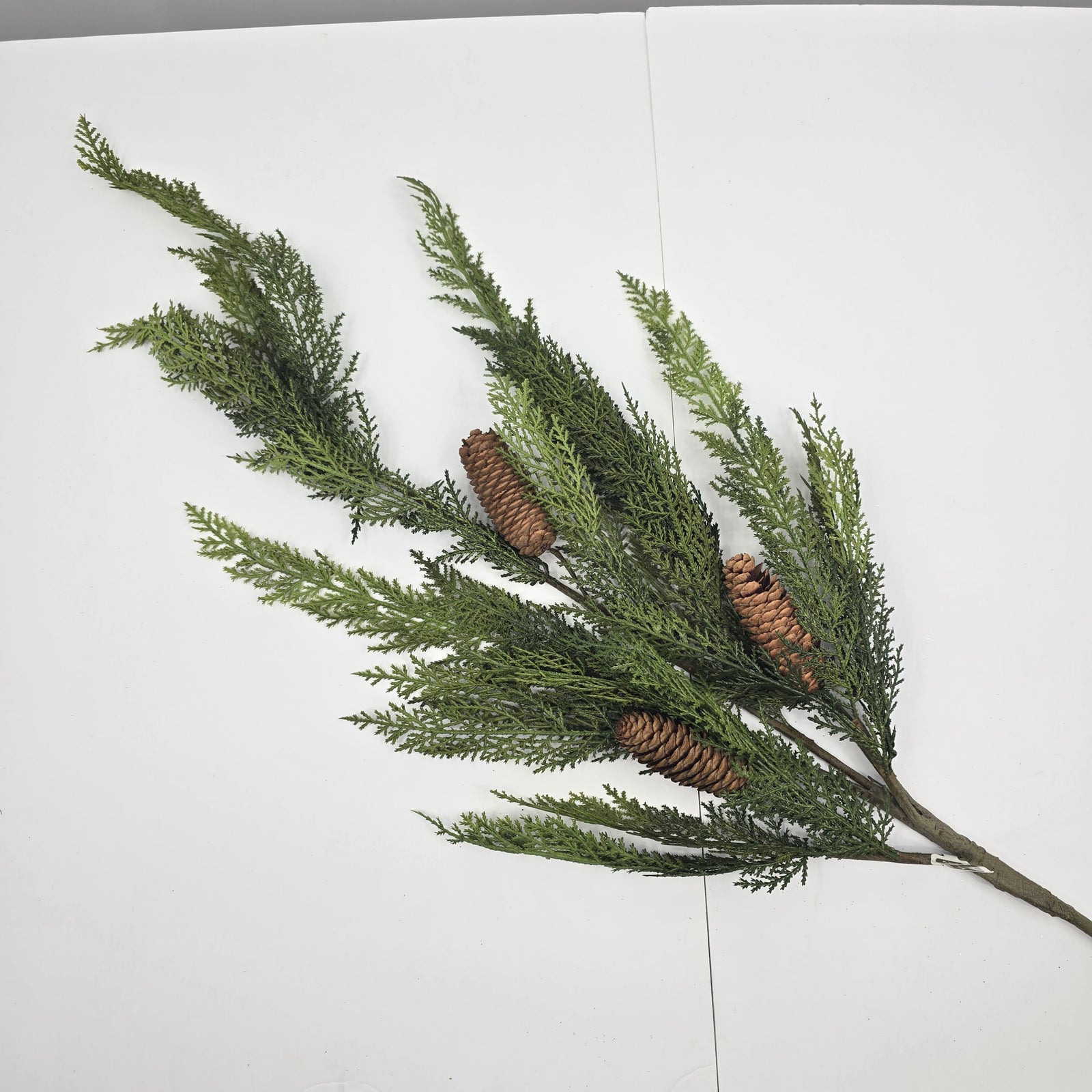 50" Cedar Spry/Cone-#ysc136