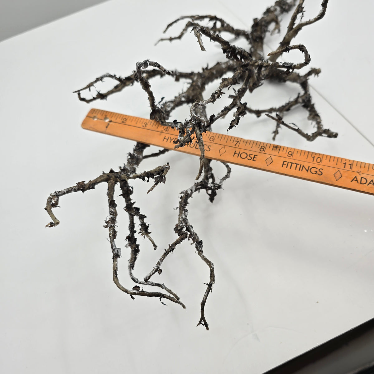 36&quot; Twig Spray--#Xaq527