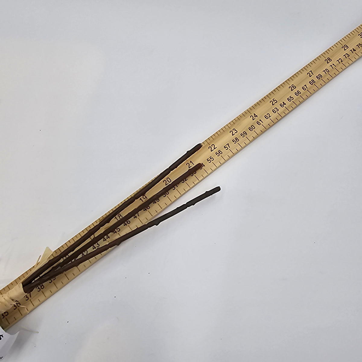 20.5&quot;FERN Bunch--#xab544