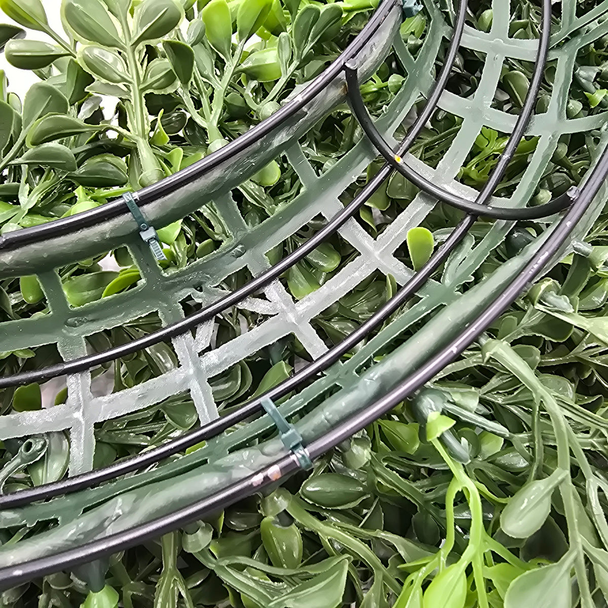 22&#39; Bxwood Wrth-#pwb224