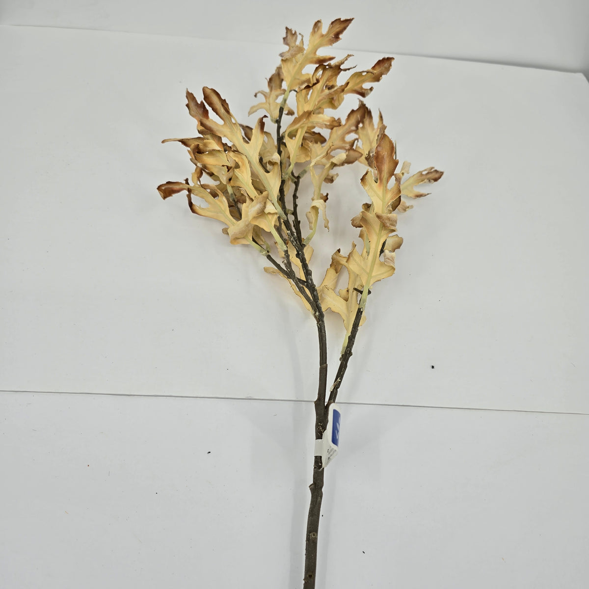 32&quot; Dried Oakleaf Spray-#pso888