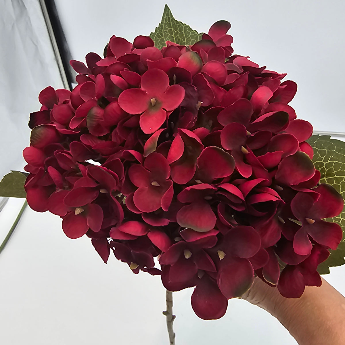 Hydrangea-20.5&quot; #fsh614