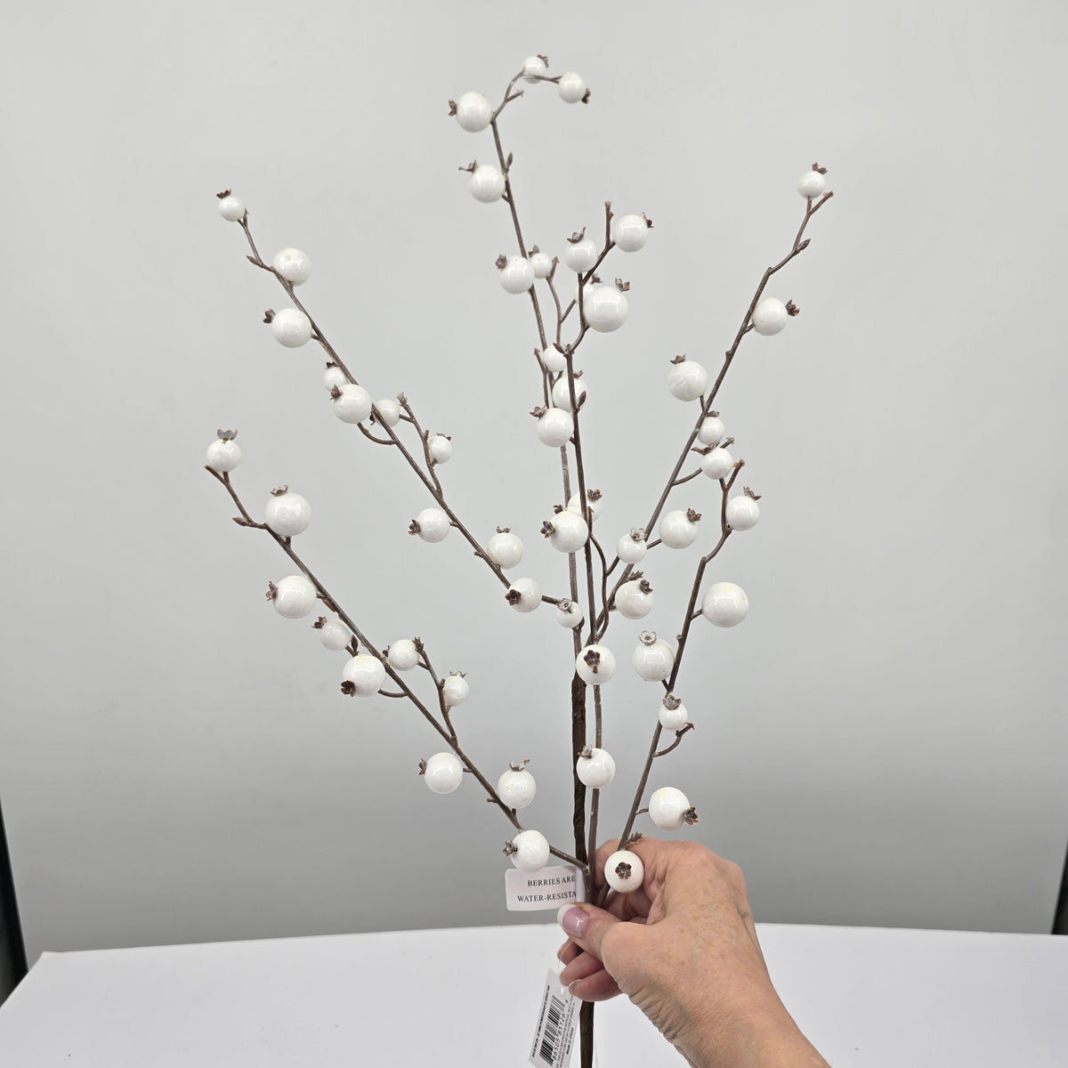 30&quot; WR Mini Pomegranate Spry--white #285126